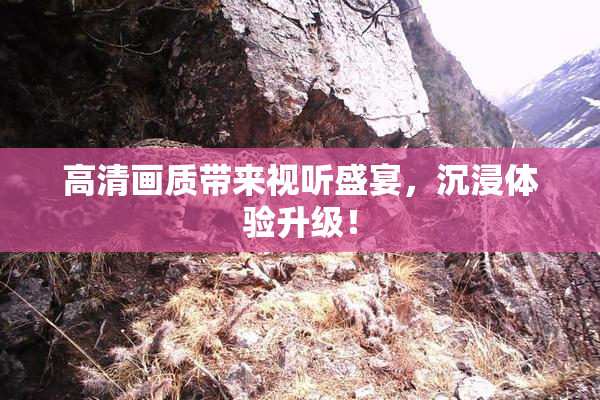 高清画质带来视听盛宴，沉浸体验升级！
