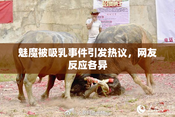 魅魔被吸乳事件引发热议，网友反应各异