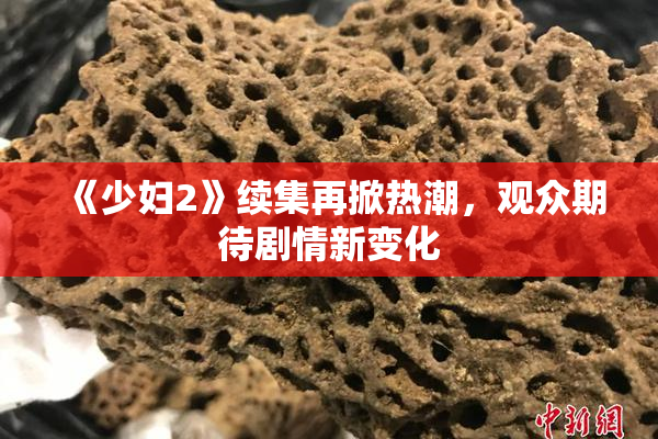 《少妇2》续集再掀热潮，观众期待剧情新变化
