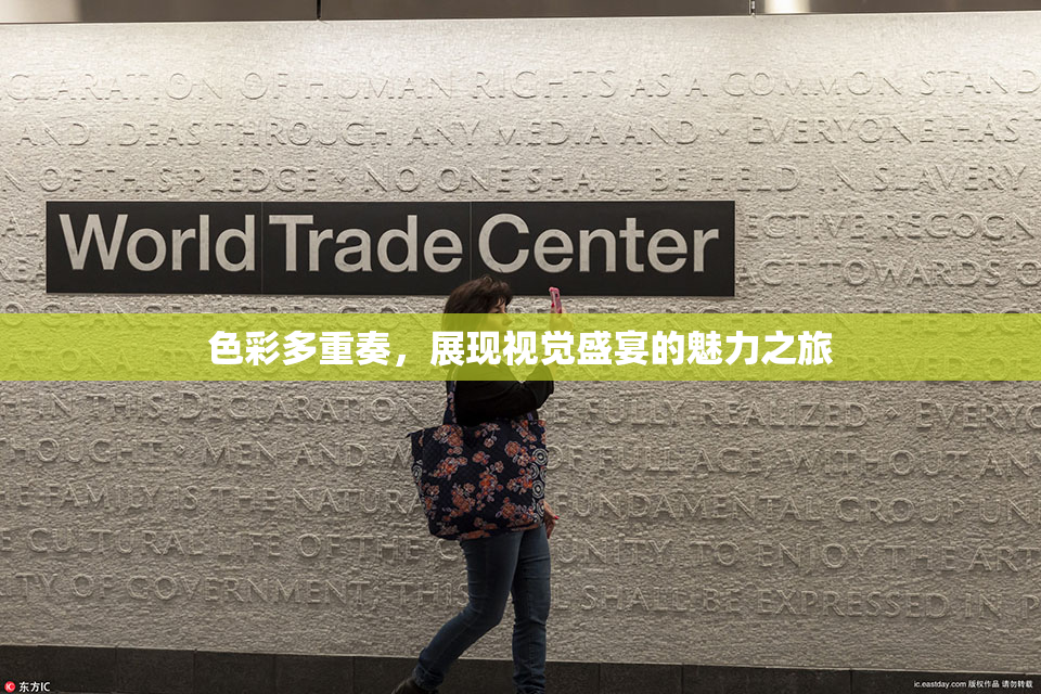 色彩多重奏，展现视觉盛宴的魅力之旅