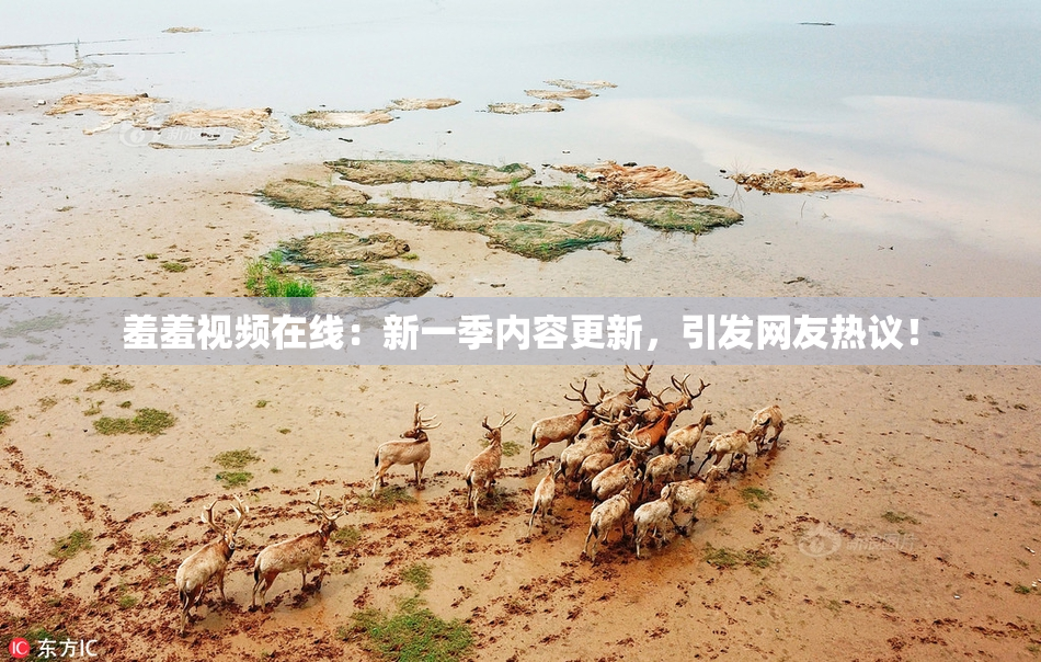 羞羞视频在线：新一季内容更新，引发网友热议！