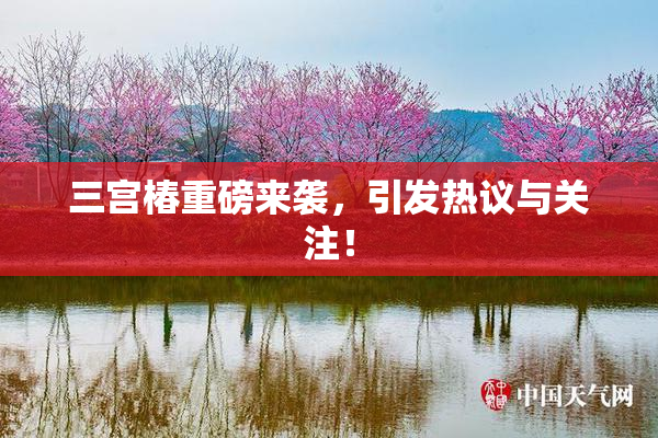 三宫椿重磅来袭，引发热议与关注！