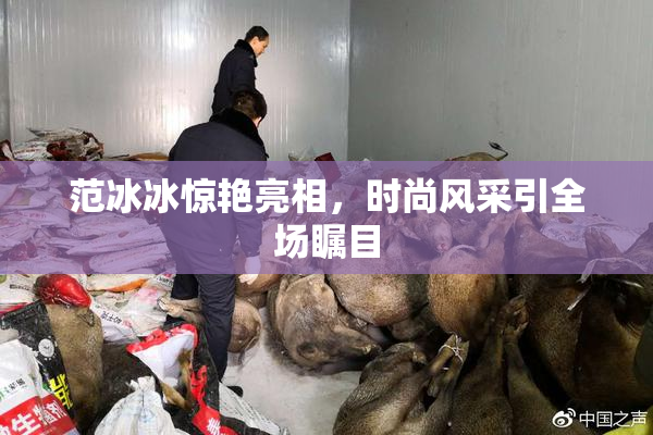 范冰冰惊艳亮相，时尚风采引全场瞩目
