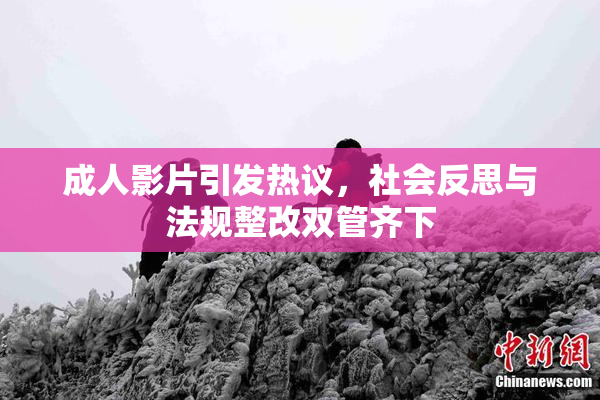 成人影片引发热议，社会反思与法规整改双管齐下