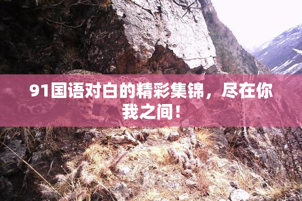 91国语对白的精彩集锦，尽在你我之间！