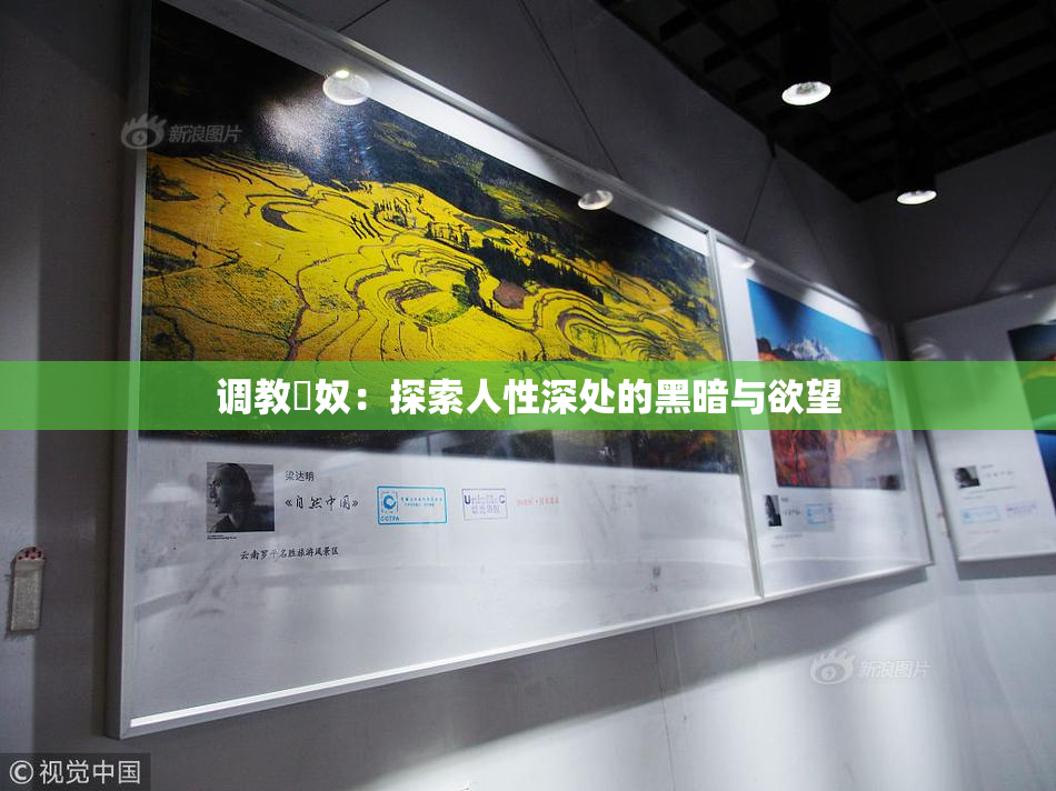 调教婬奴：探索人性深处的黑暗与欲望