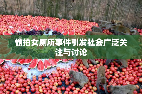 偷拍女厕所事件引发社会广泛关注与讨论