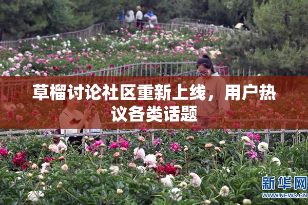 草榴讨论社区重新上线，用户热议各类话题