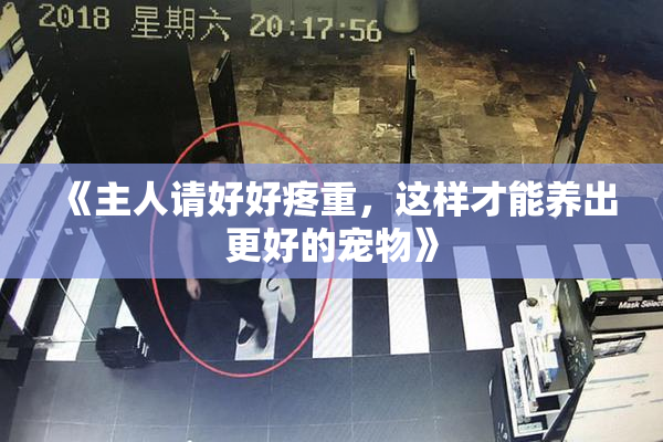 《主人请好好疼重，这样才能养出更好的宠物》