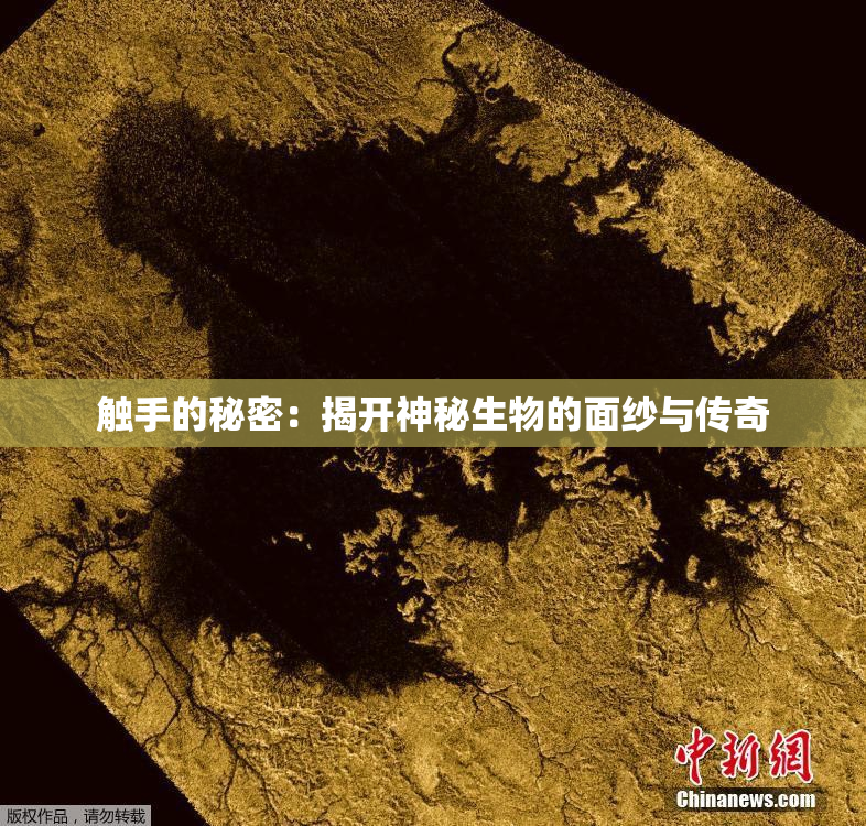 触手的秘密：揭开神秘生物的面纱与传奇