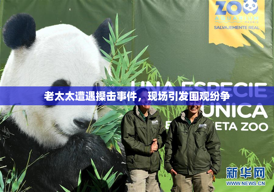 老太太遭遇搡击事件，现场引发围观纷争