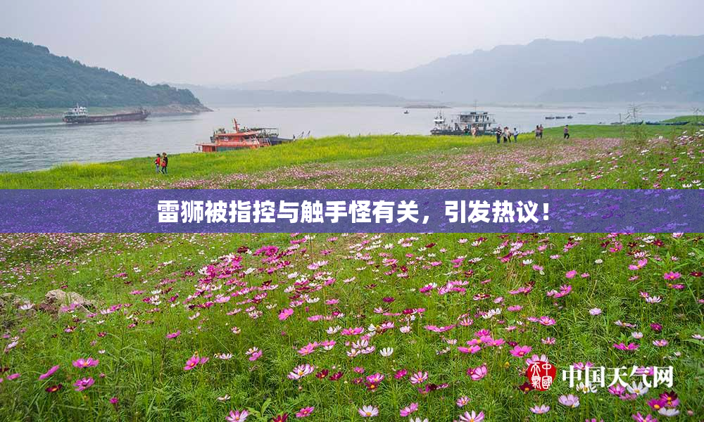 雷狮被指控与触手怪有关，引发热议！