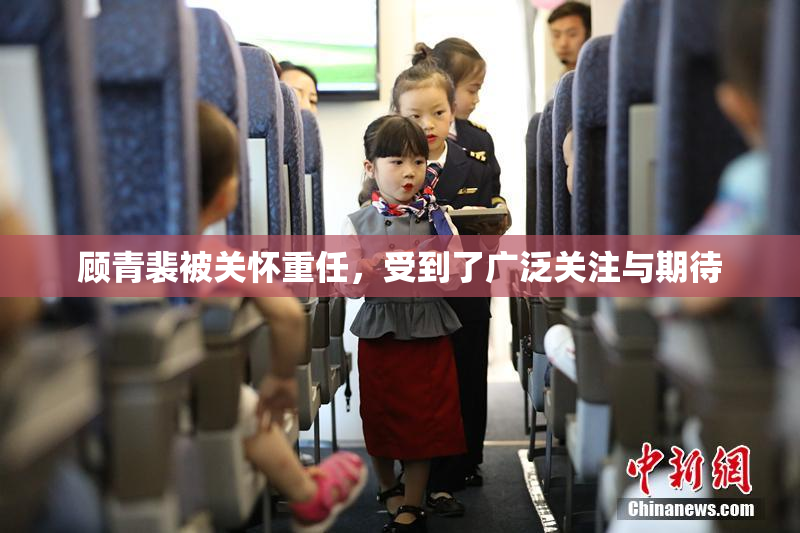 顾青裴被关怀重任，受到了广泛关注与期待