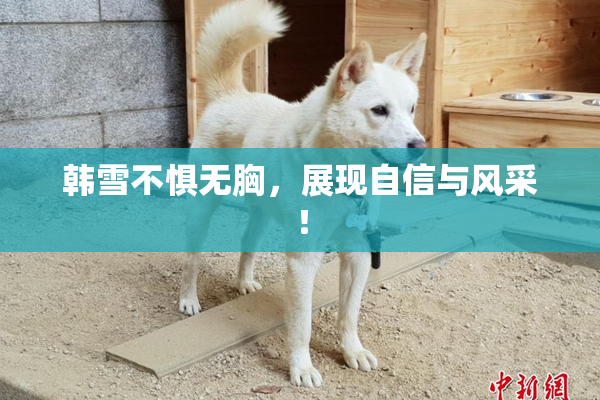 韩雪不惧无胸，展现自信与风采！