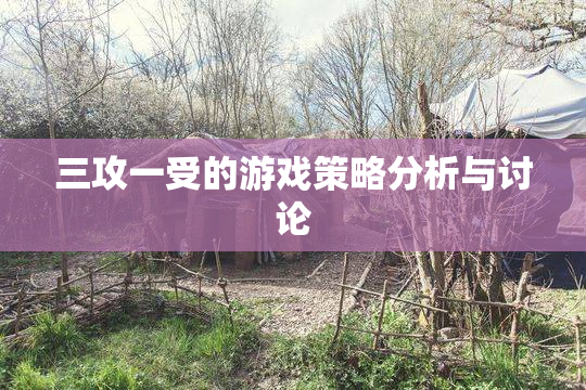 三攻一受的游戏策略分析与讨论