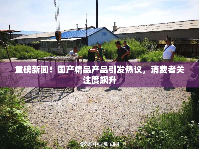 重磅新闻！国产精品产品引发热议，消费者关注度飙升
