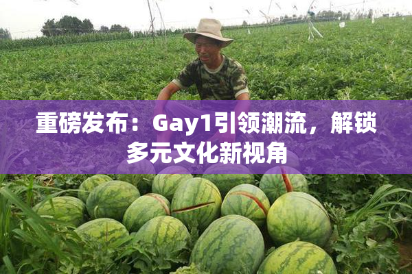 重磅发布：Gay1引领潮流，解锁多元文化新视角