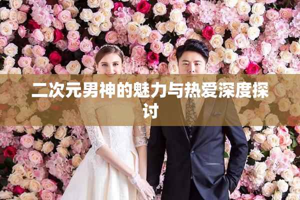 二次元男神的魅力与热爱深度探讨