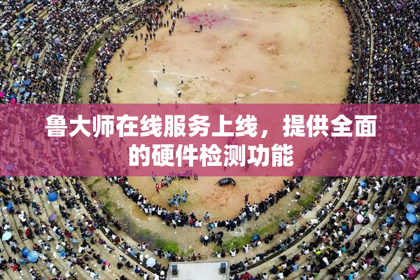 鲁大师在线服务上线，提供全面的硬件检测功能