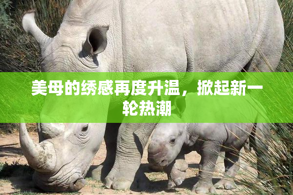 美母的绣感再度升温，掀起新一轮热潮