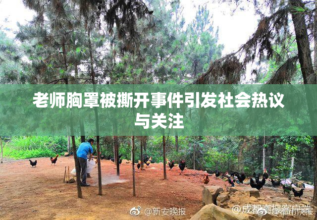 老师胸罩被撕开事件引发社会热议与关注