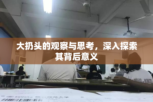 大扔头的观察与思考，深入探索其背后意义