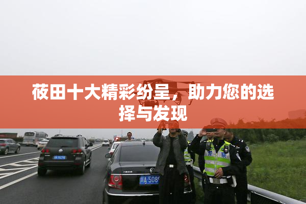 莜田十大精彩纷呈，助力您的选择与发现