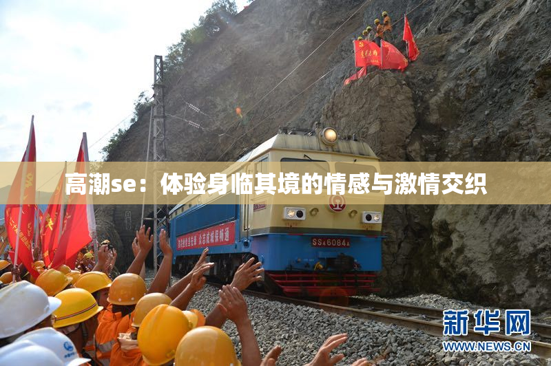 高潮se：体验身临其境的情感与激情交织