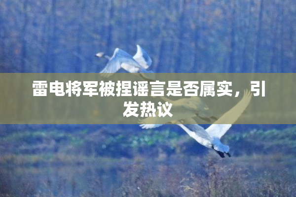 雷电将军被捏谣言是否属实，引发热议