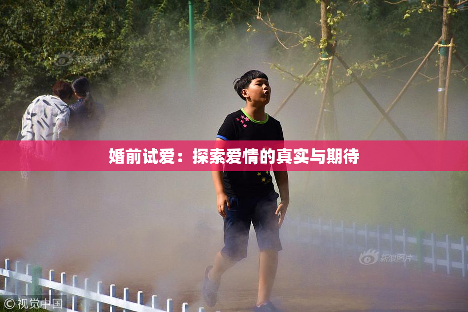 婚前试爱：探索爱情的真实与期待