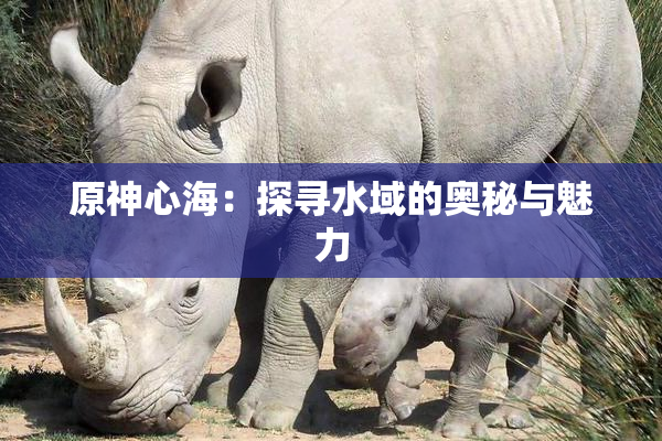 原神心海：探寻水域的奥秘与魅力
