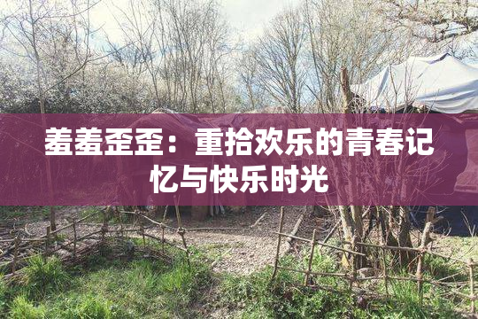 羞羞歪歪：重拾欢乐的青春记忆与快乐时光