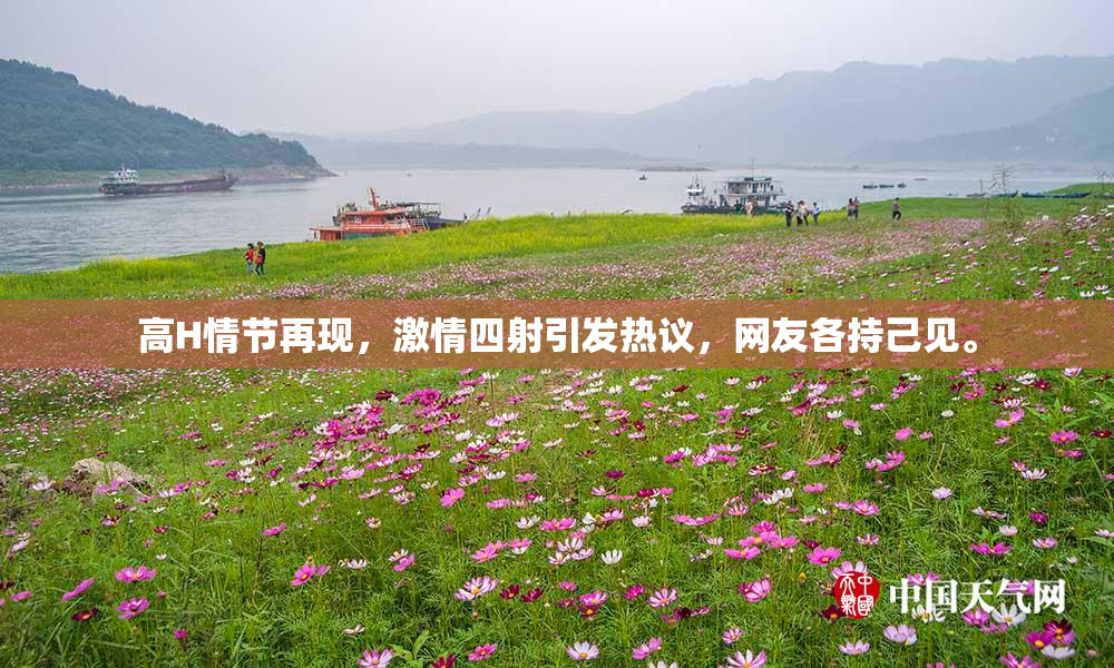 高H情节再现，激情四射引发热议，网友各持己见。