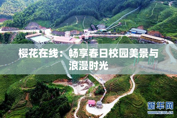 樱花在线：畅享春日校园美景与浪漫时光