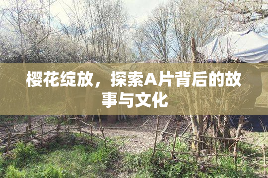 樱花绽放，探索A片背后的故事与文化