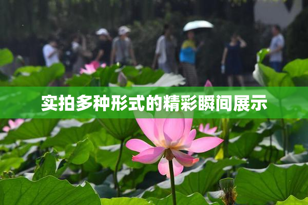 实拍多种形式的精彩瞬间展示