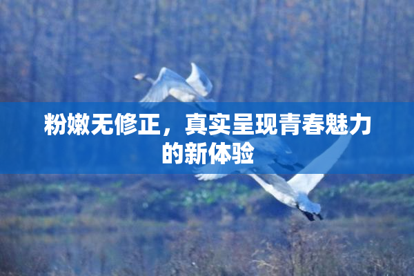 粉嫩无修正，真实呈现青春魅力的新体验