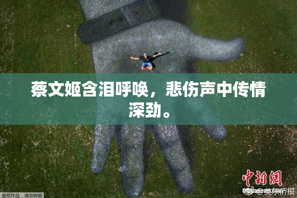 蔡文姬含泪呼唤，悲伤声中传情深劲。