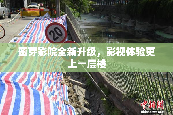 蜜芽影院全新升级，影视体验更上一层楼
