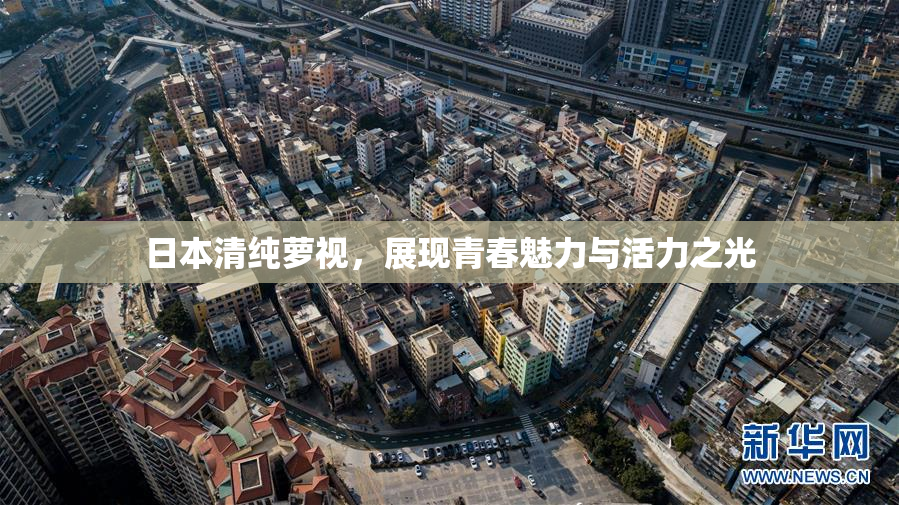 日本清纯萝视，展现青春魅力与活力之光