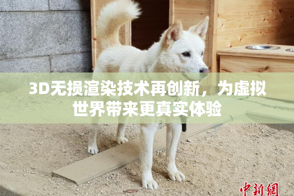 3D无损渲染技术再创新，为虚拟世界带来更真实体验