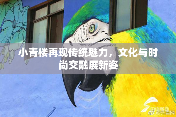 小青楼再现传统魅力，文化与时尚交融展新姿