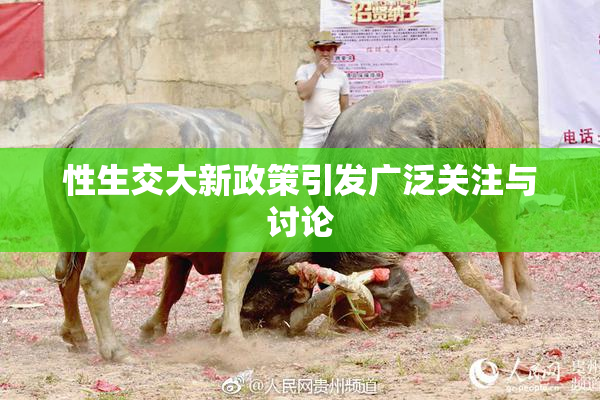 性生交大新政策引发广泛关注与讨论