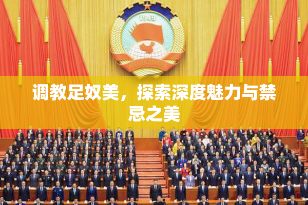 调教足奴美，探索深度魅力与禁忌之美