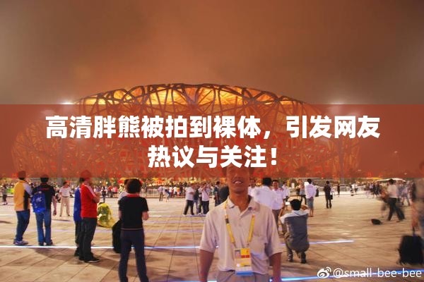 高清胖熊被拍到裸体，引发网友热议与关注！