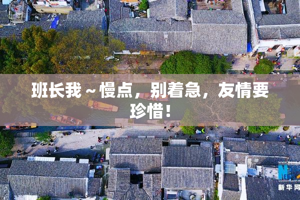 班长我～慢点，别着急，友情要珍惜！