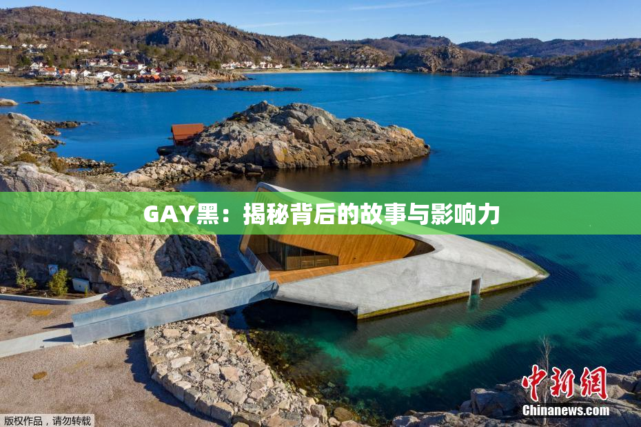 GAY黑：揭秘背后的故事与影响力