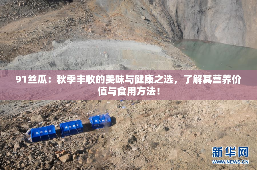 91丝瓜：秋季丰收的美味与健康之选，了解其营养价值与食用方法！