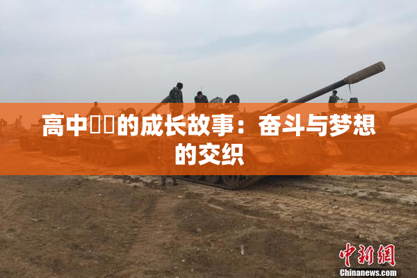 高中妺妺的成长故事：奋斗与梦想的交织