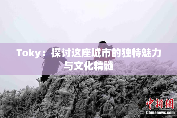Toky：探讨这座城市的独特魅力与文化精髓